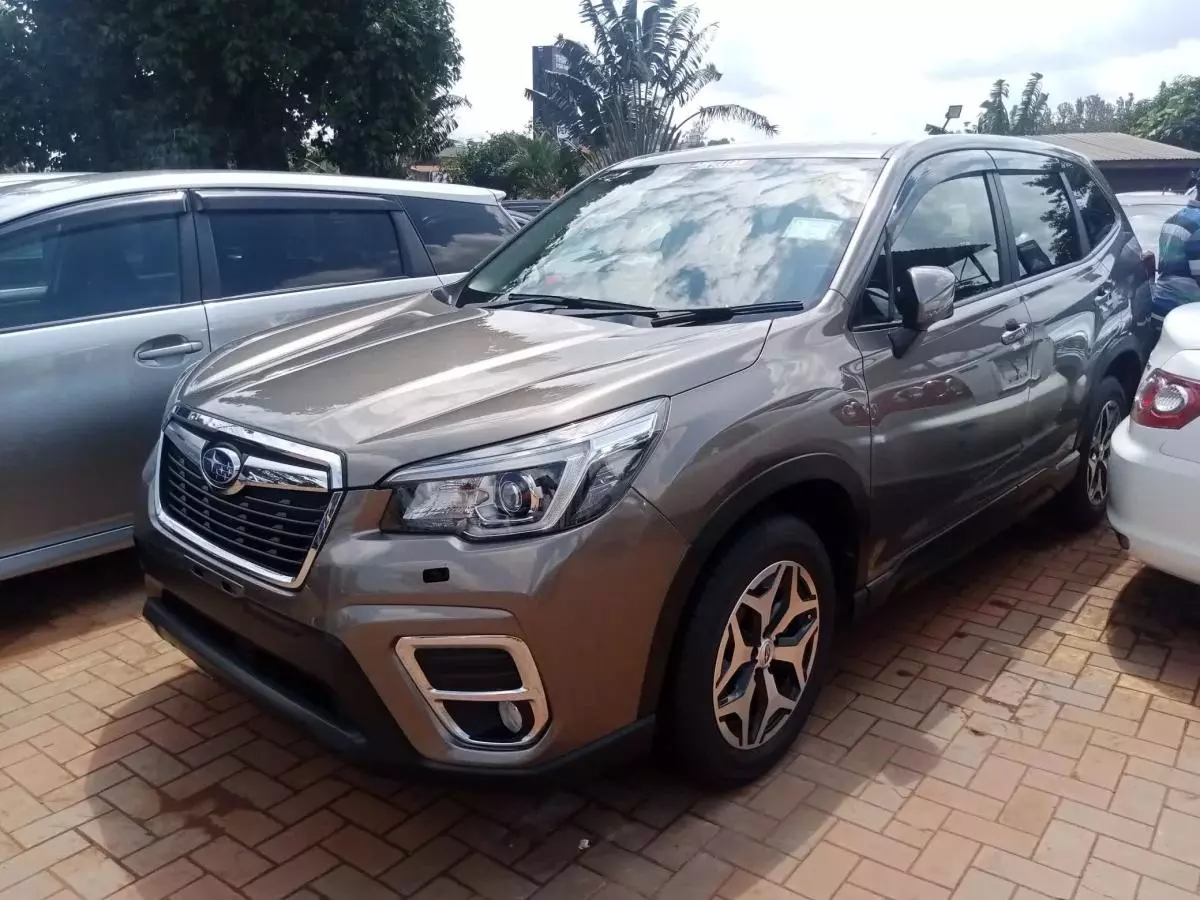 Subaru Forester   - 2019