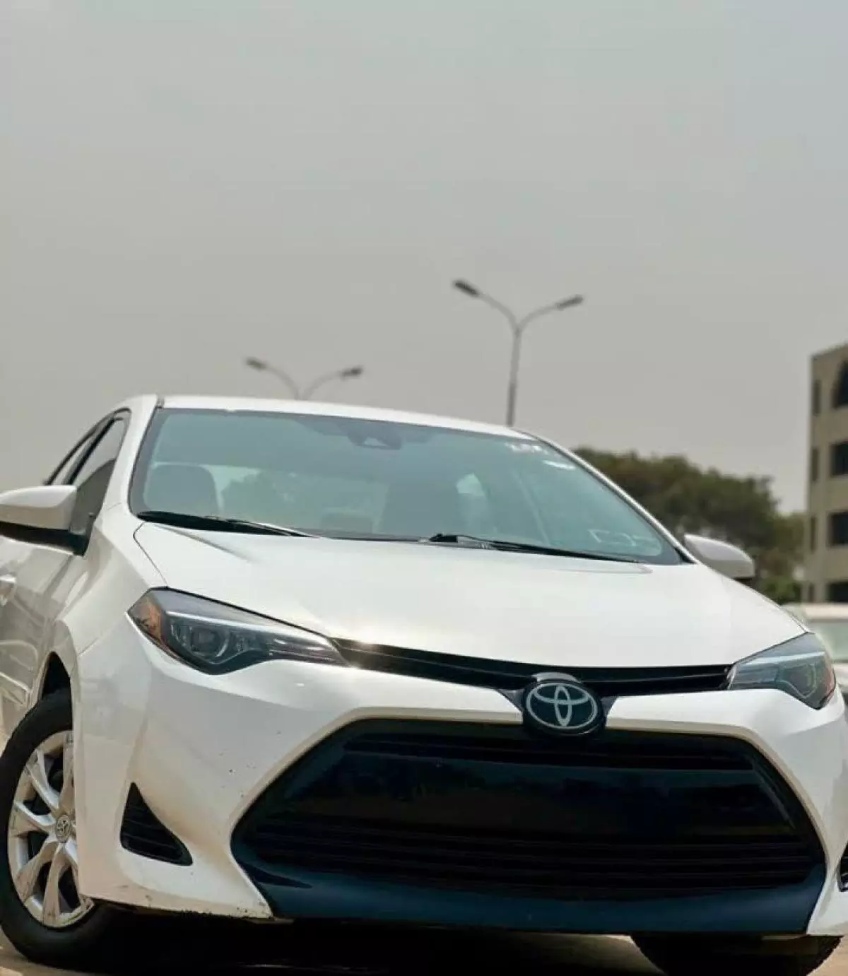 Toyota Corolla   - 2019