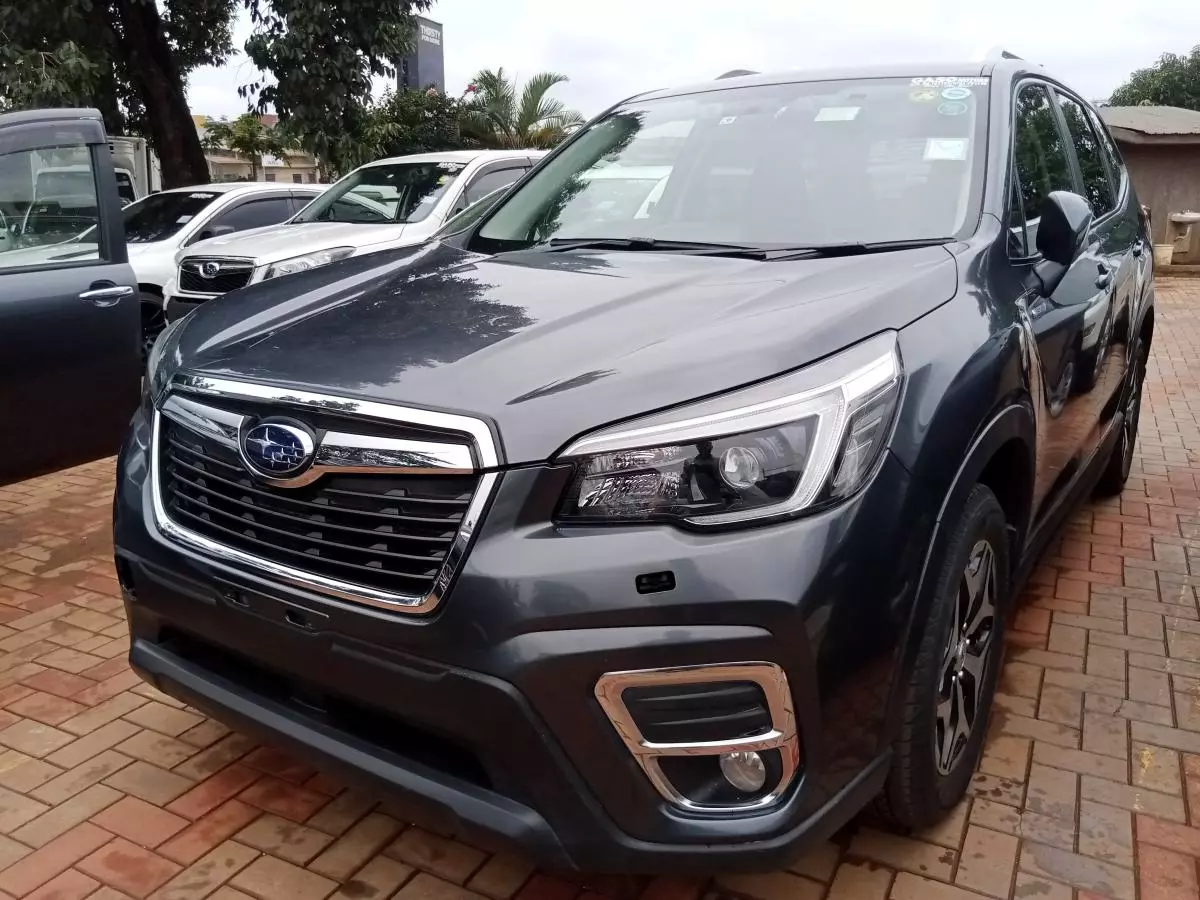 Subaru Forester   - 2019