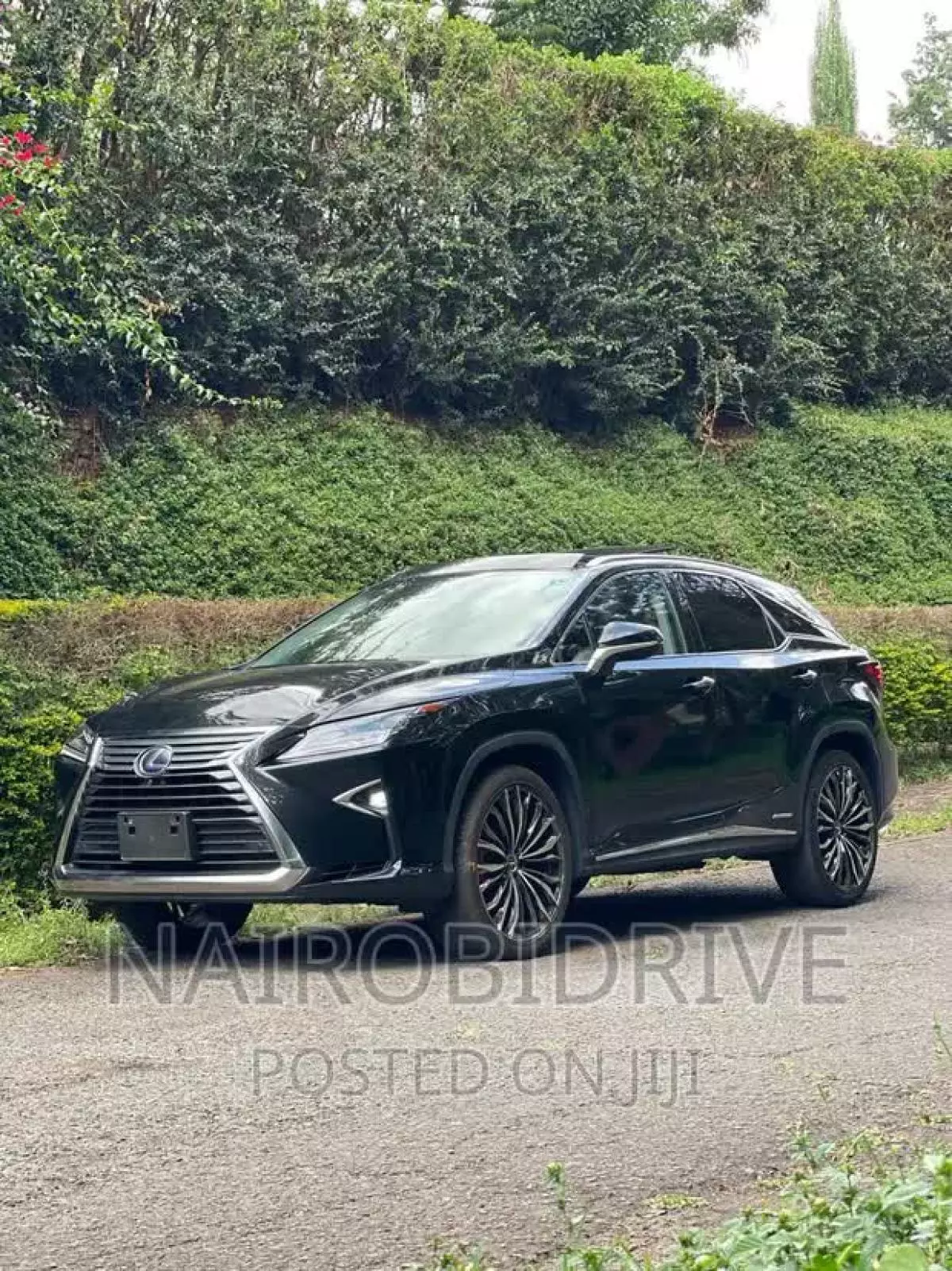 Lexus RX 450   - 2016