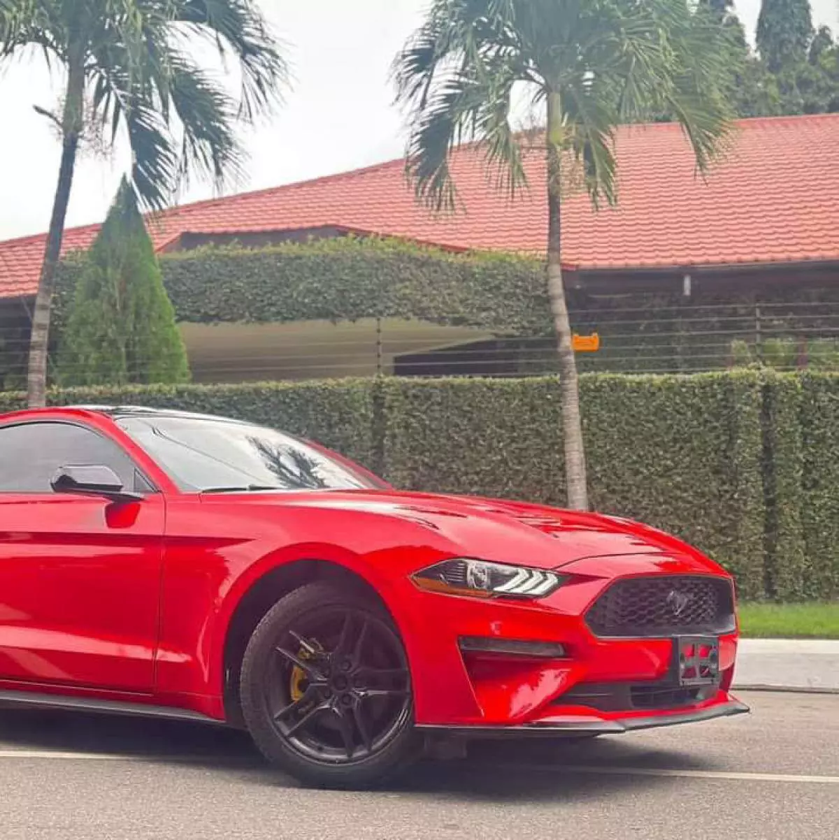 Ford Mustang   - 2019