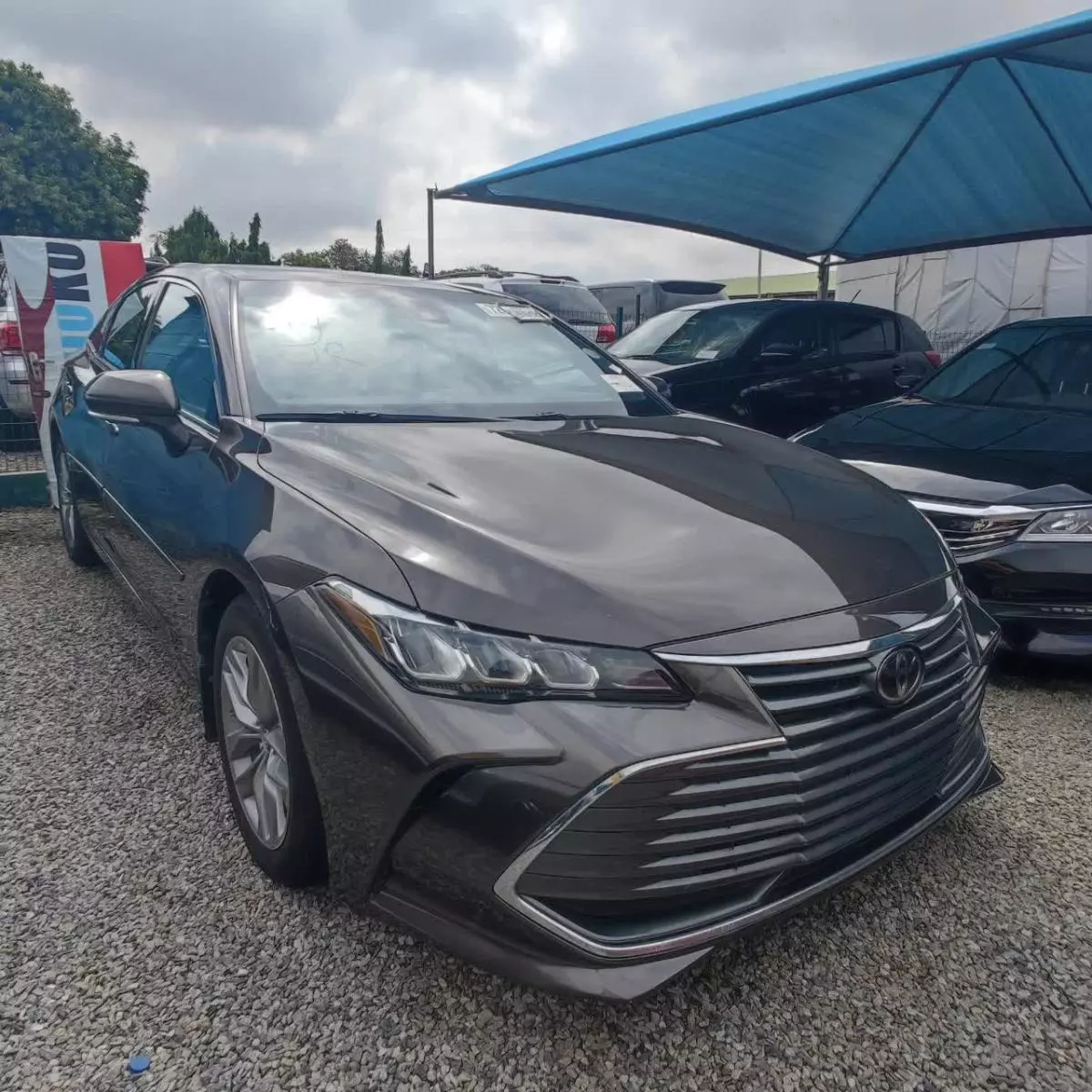 Toyota Avalon   - 2019