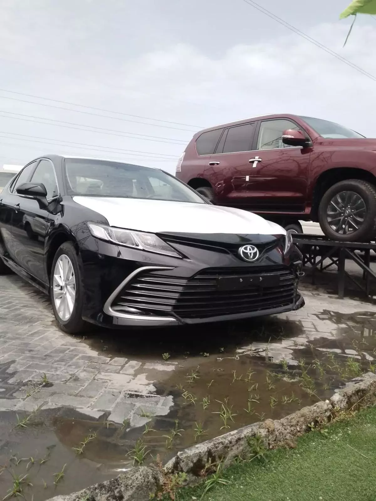 Toyota Camry   - 2023