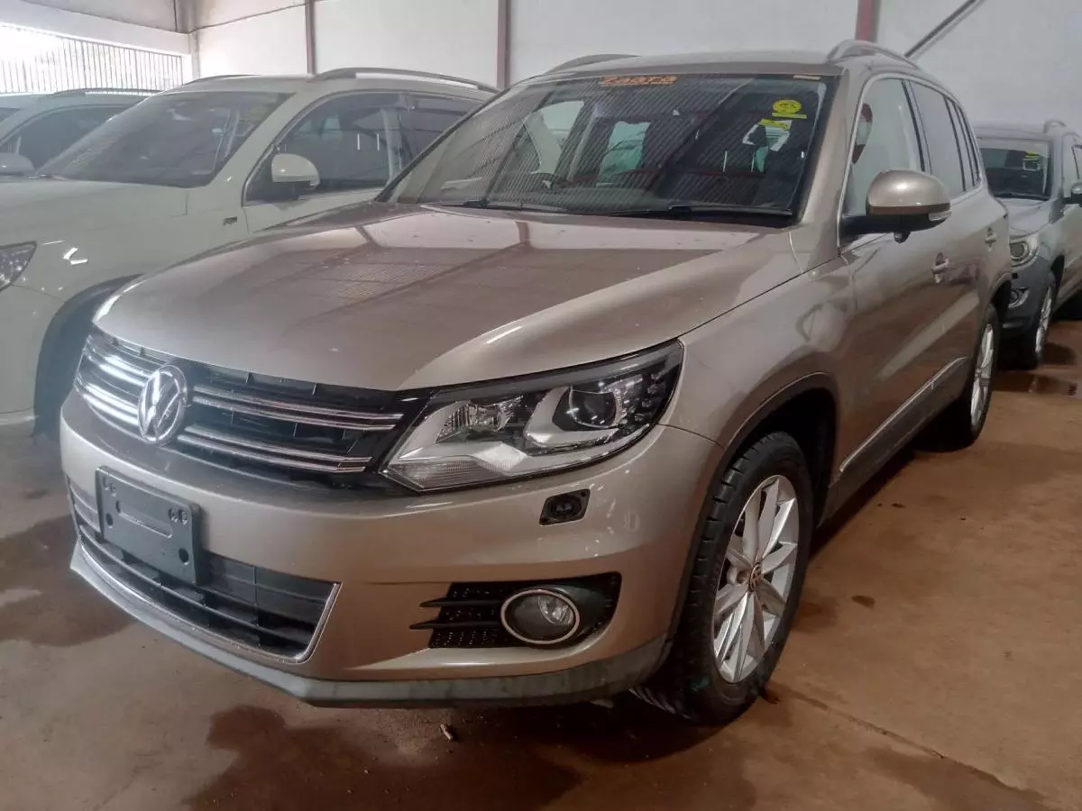 Volkswagen Tiguan   - 2013