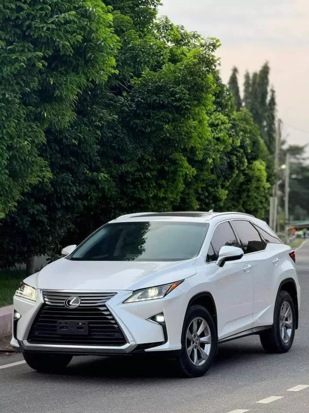 Lexus RX 350   - 2019