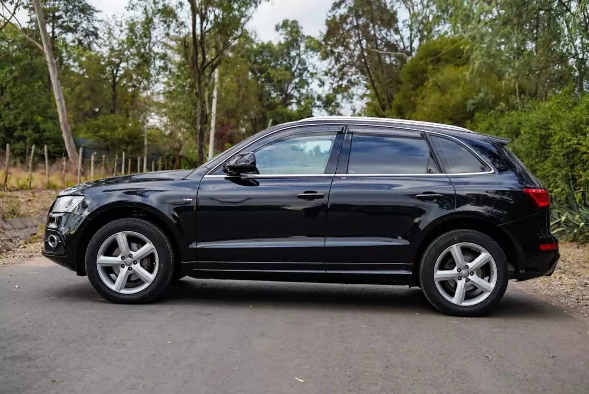 Audi SQ5 - 2015