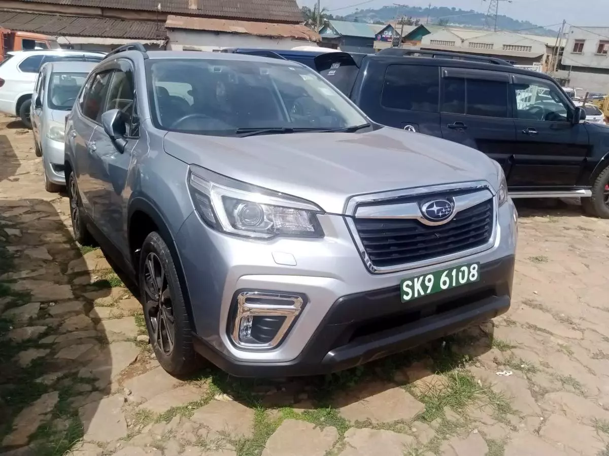 Subaru Forester   - 2019