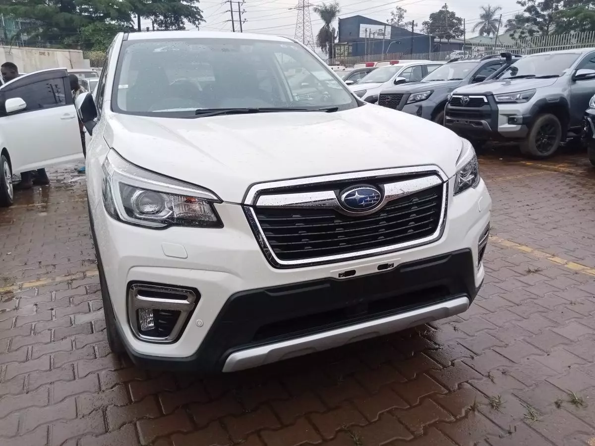 Subaru Forester   - 2019