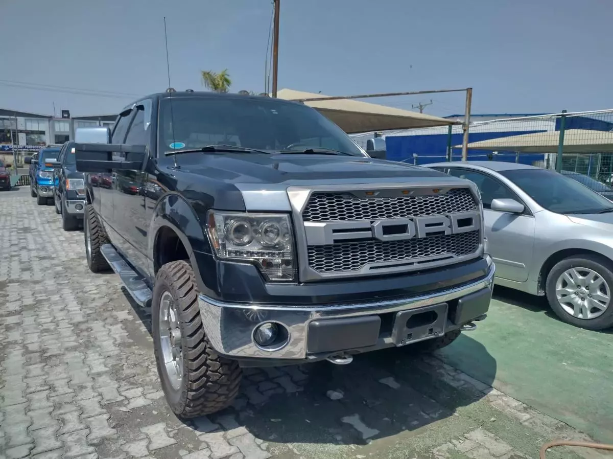 Ford F 150 - 2009