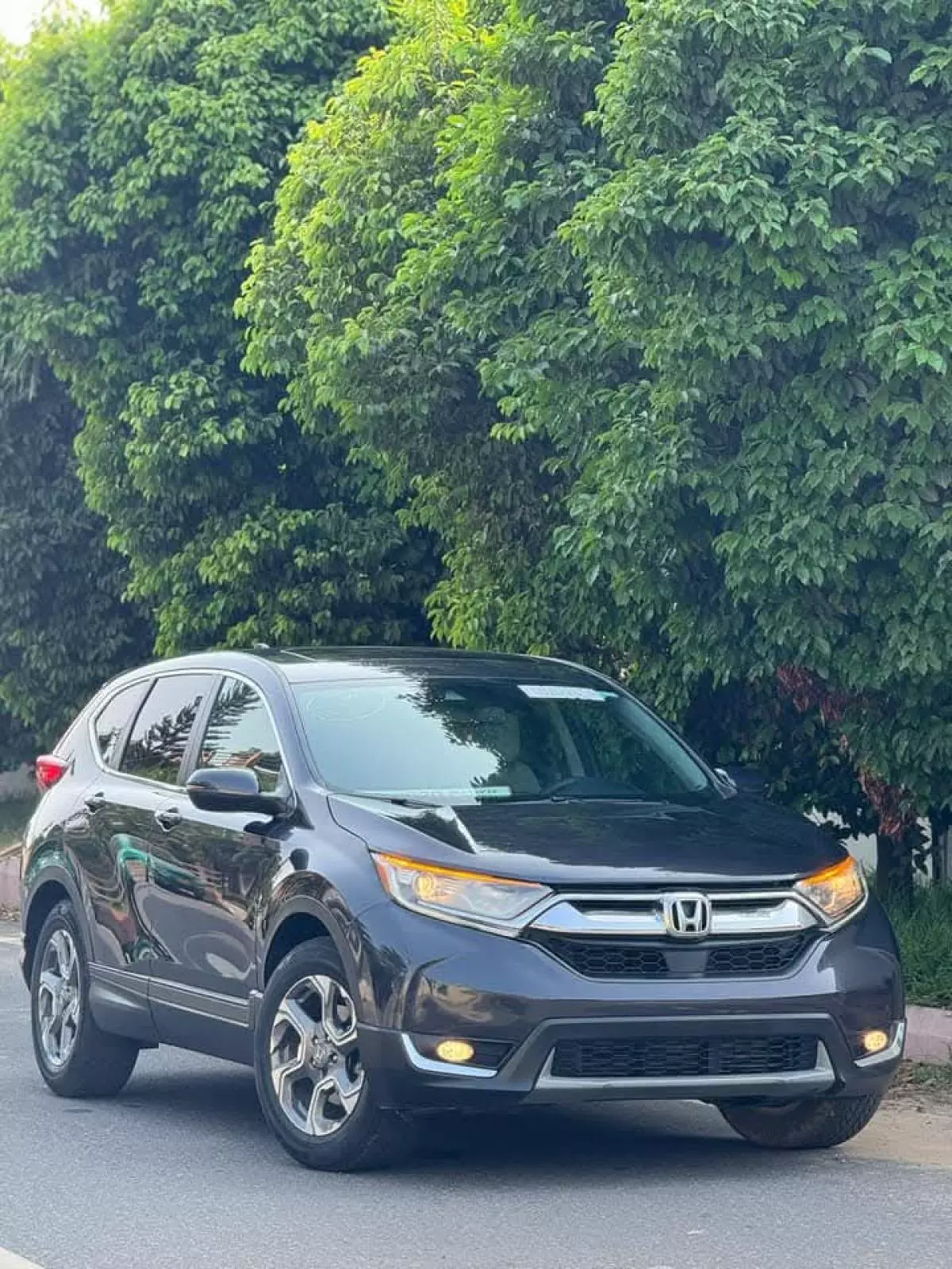 Honda CR-V   - 2019