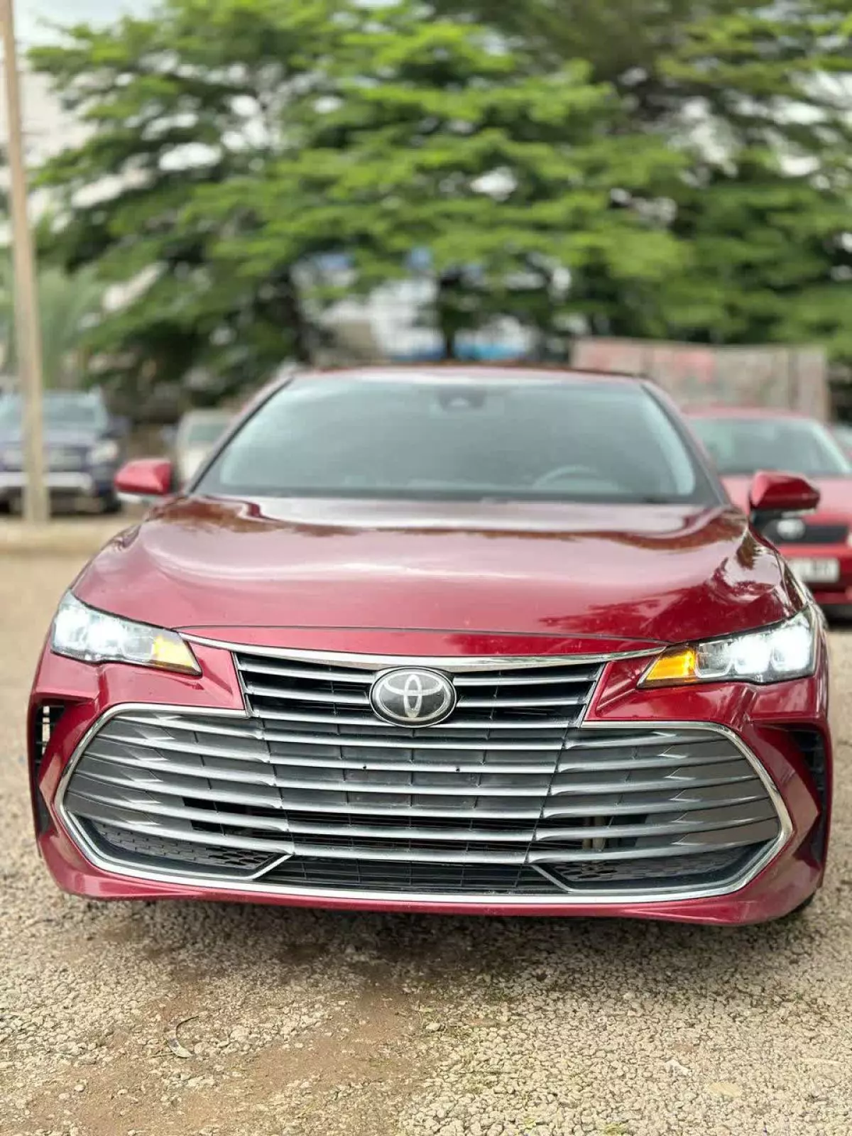 Toyota Avalon   - 2019