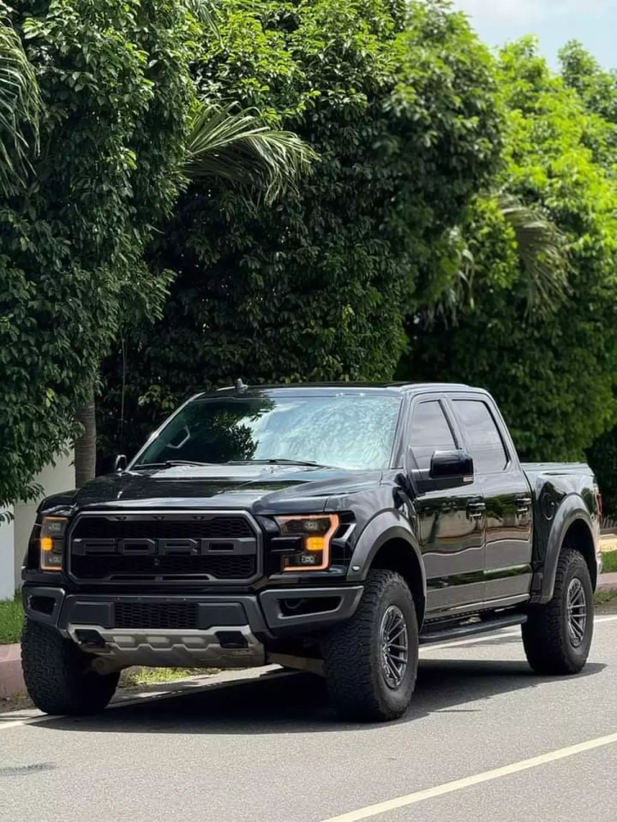 Ford Raptor   - 2020