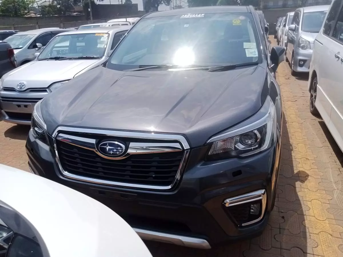 Subaru Forester   - 2019