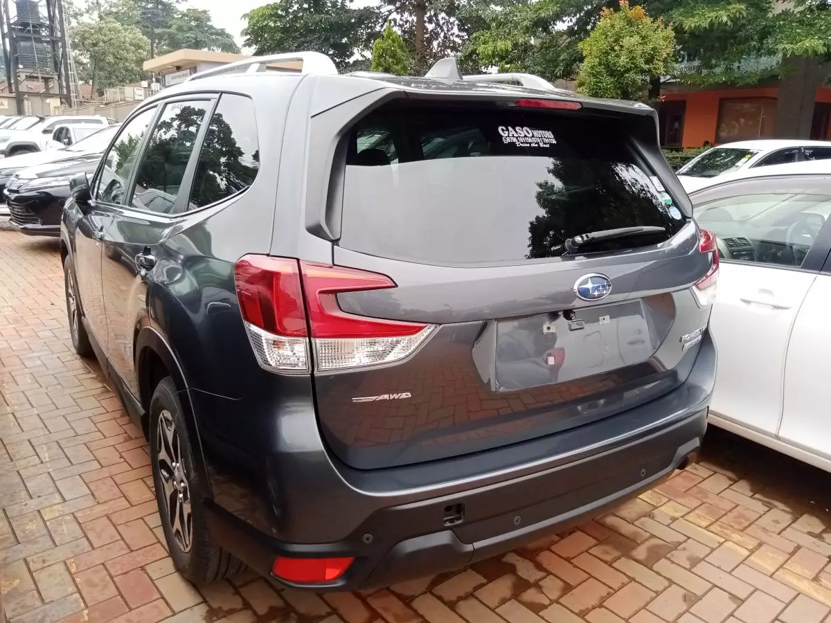 Subaru Forester   - 2019