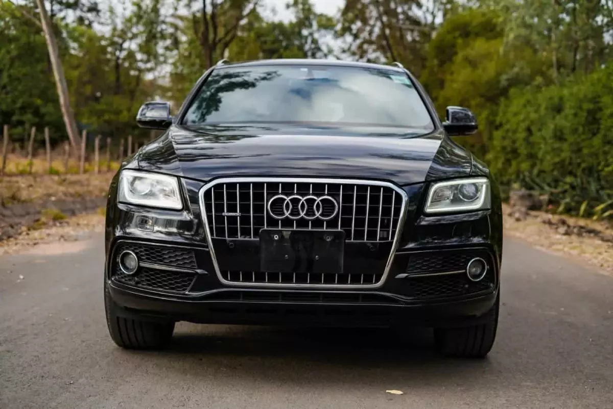 Audi SQ5 - 2015