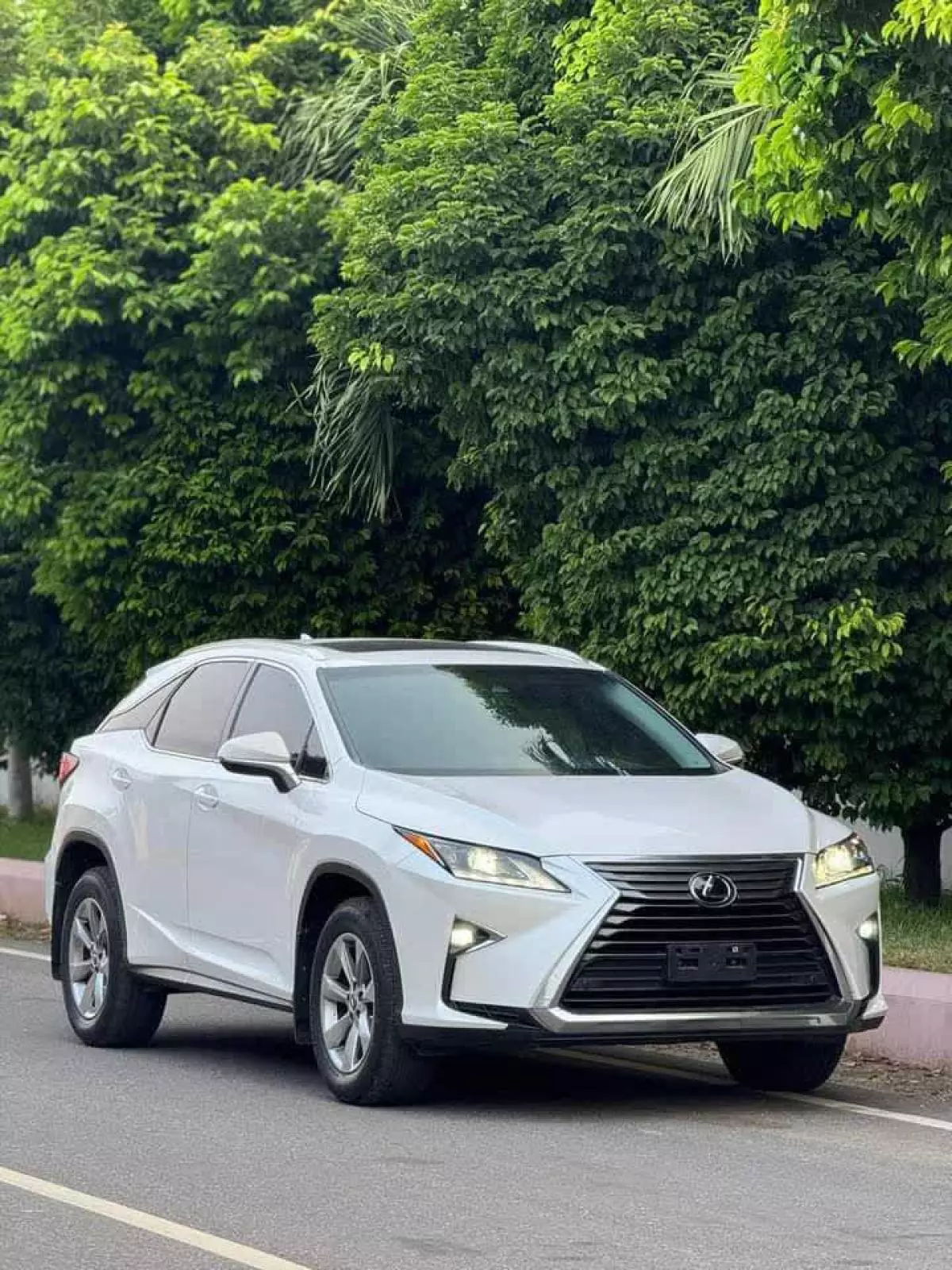 Lexus RX 350   - 2019