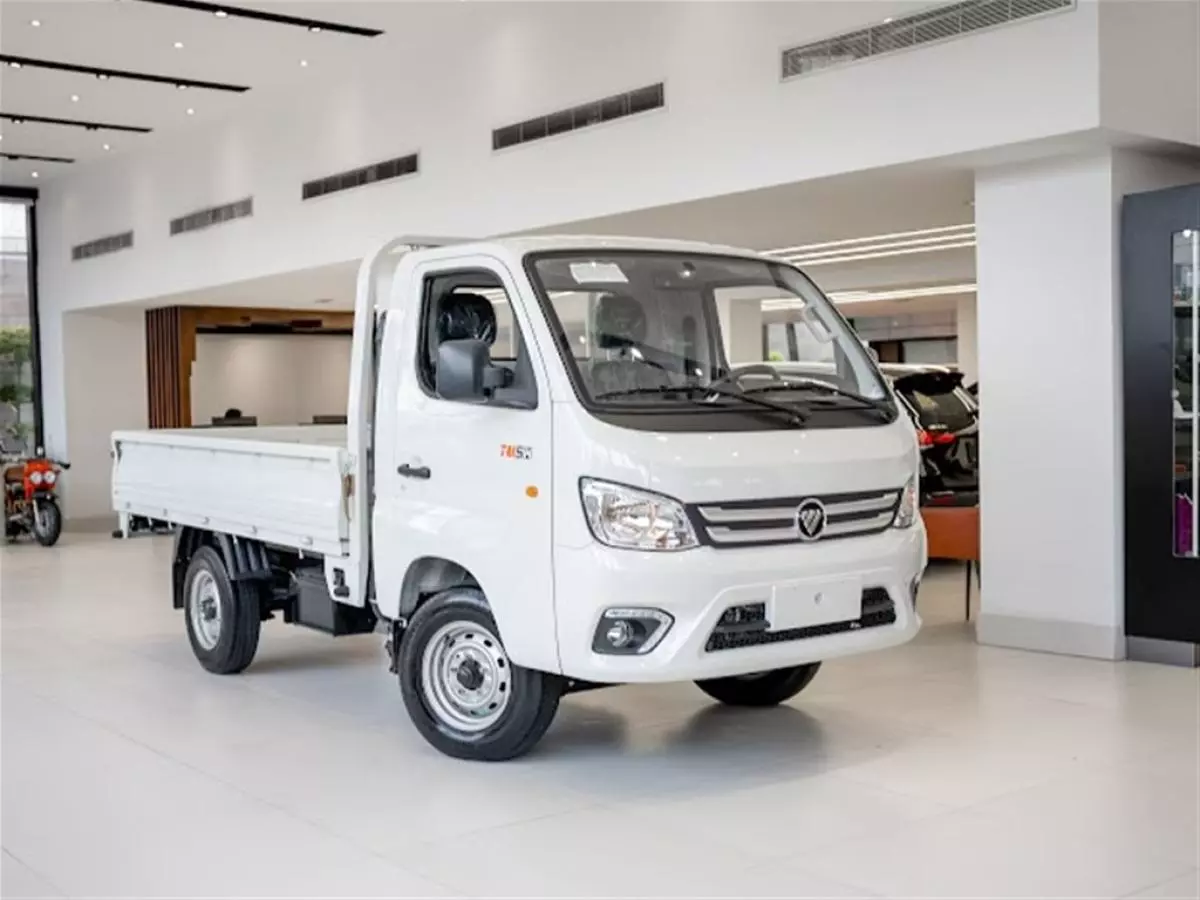 FOTON Truck Mate   - 2024