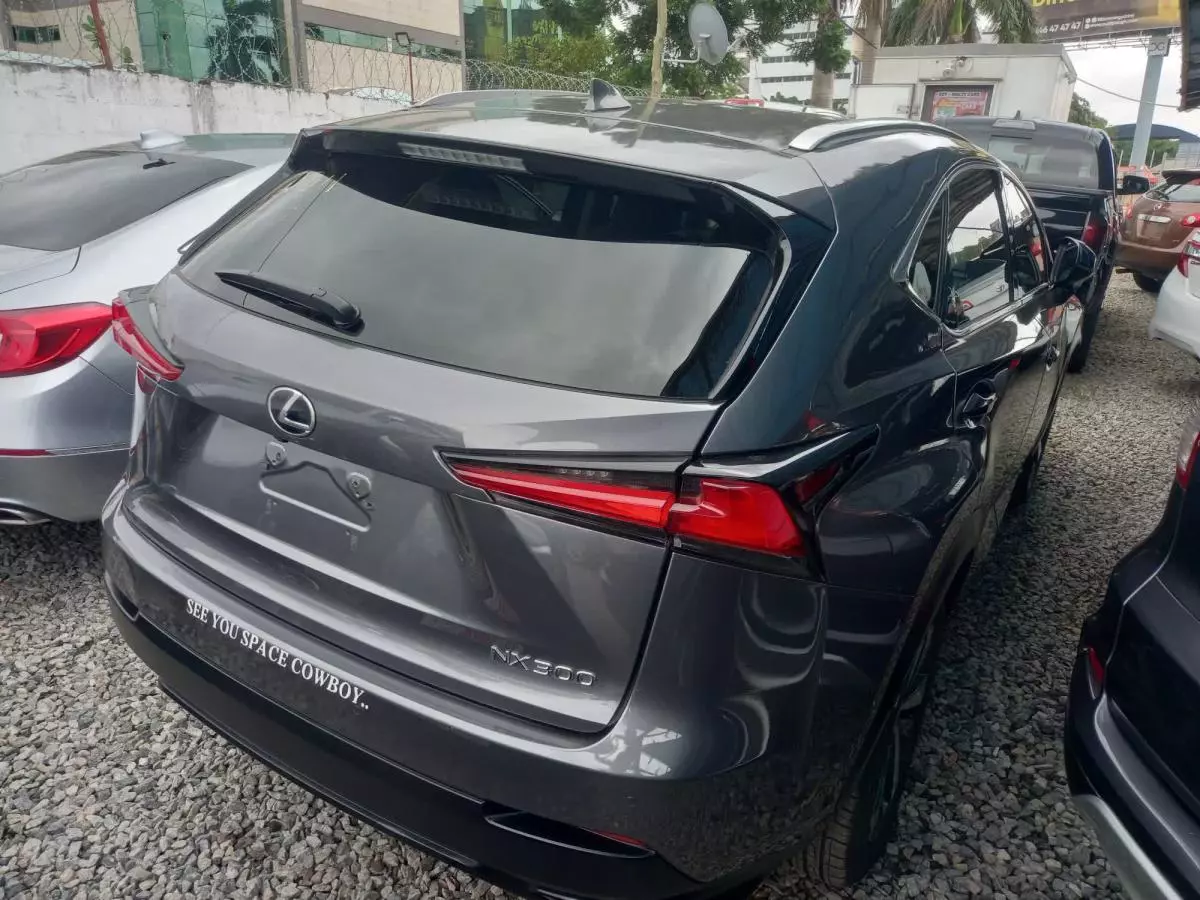 Lexus NX 300   - 2018