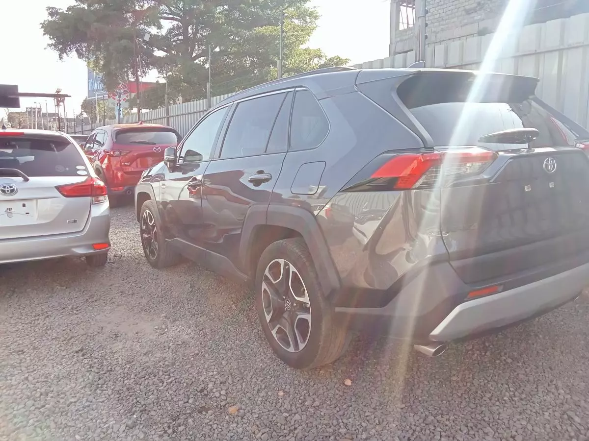 Toyota RAV 4   - 2019