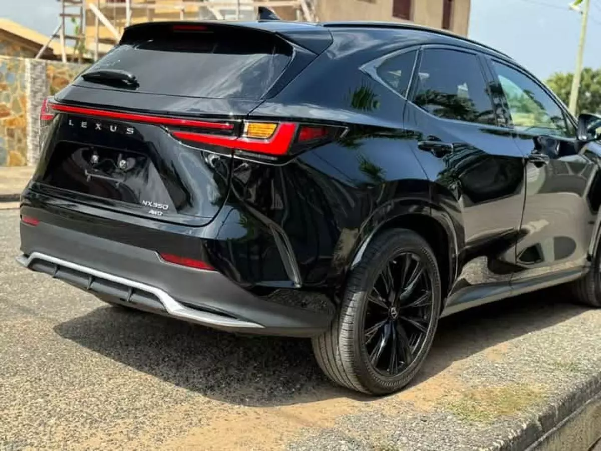 Lexus NX 300   - 2022