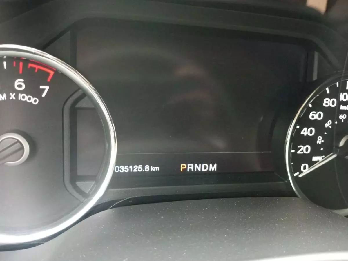 Ford F 150 - 2019