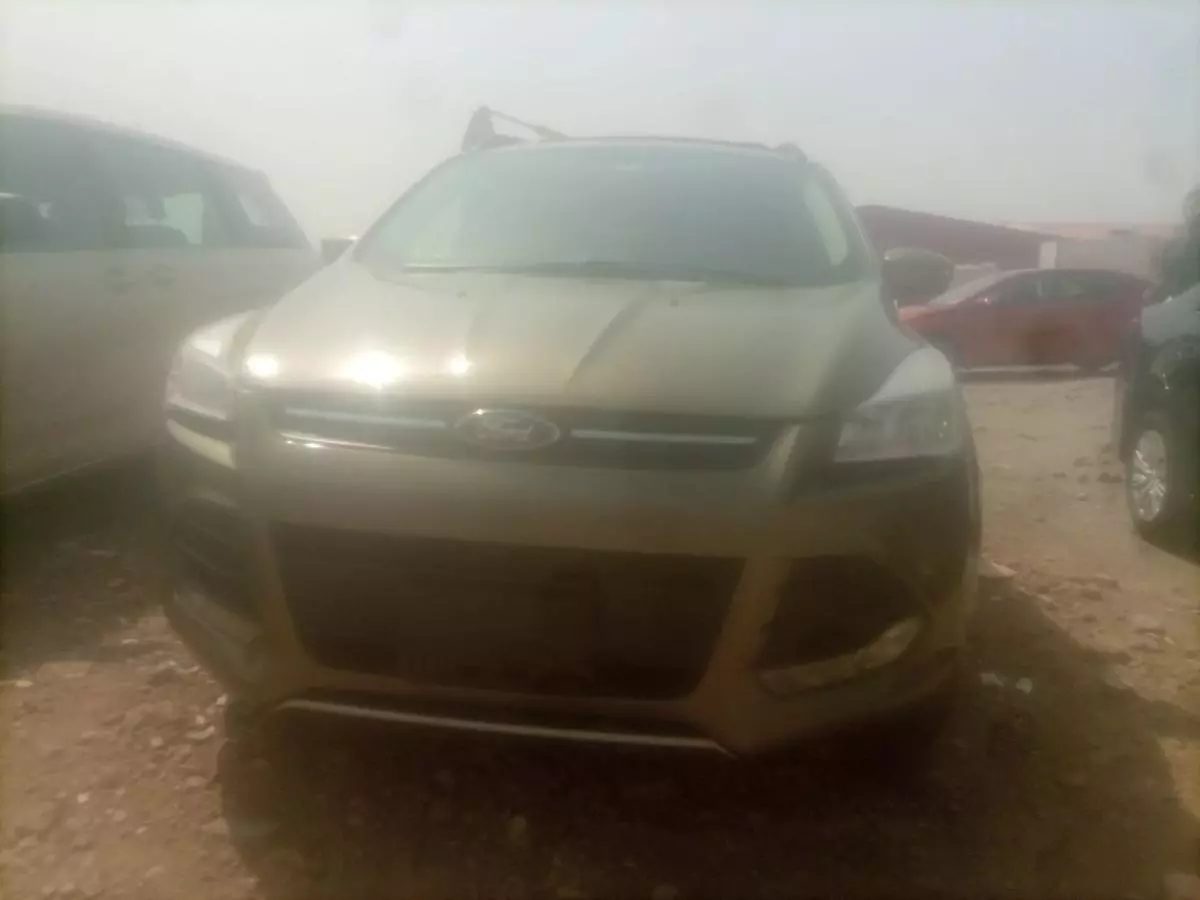 Ford Escape - 2013