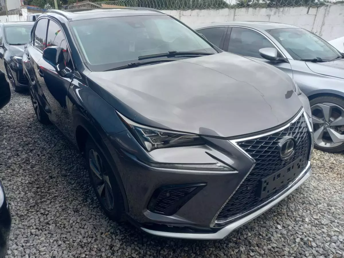 Lexus NX 300   - 2018