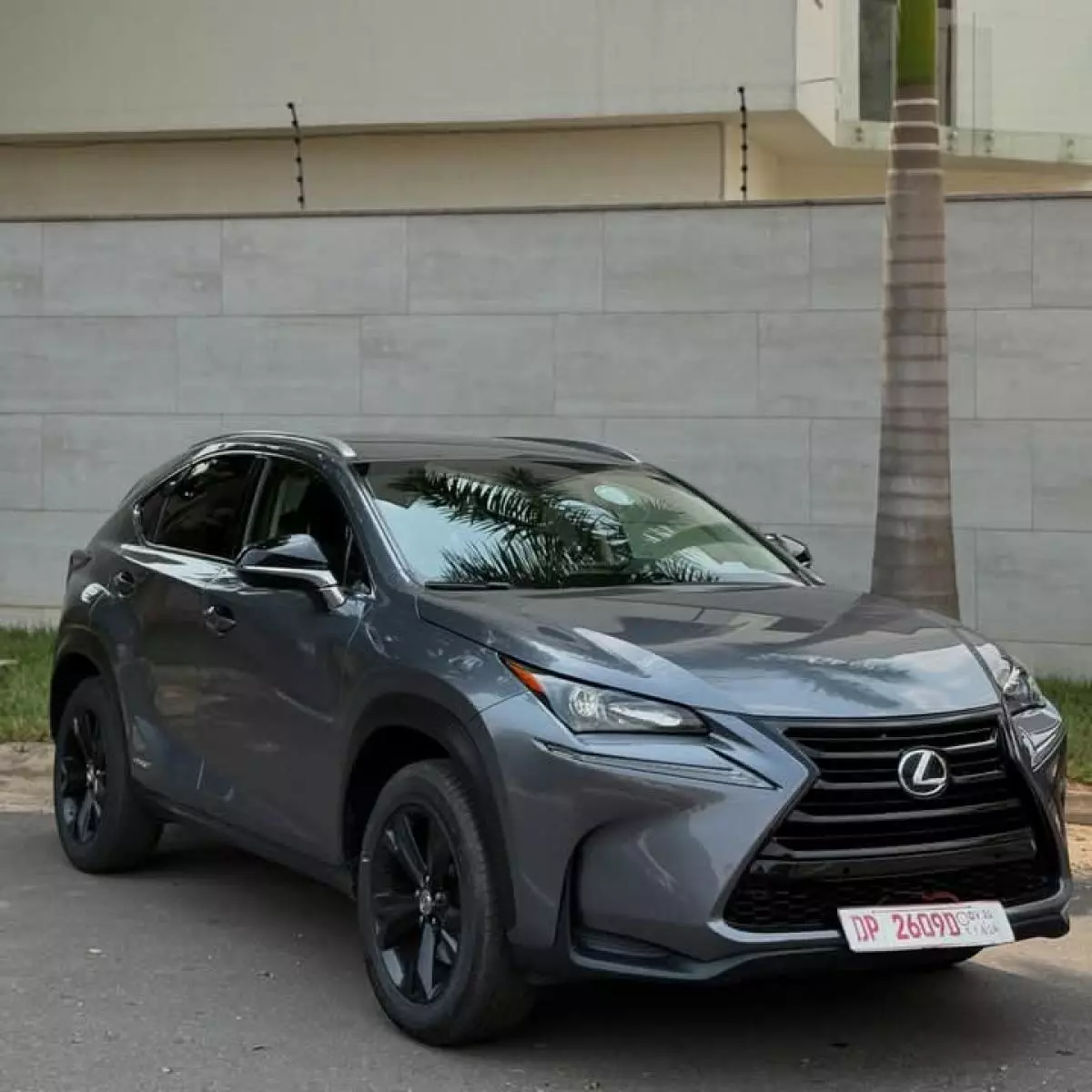 Lexus NX300h Hybrid   - 2018