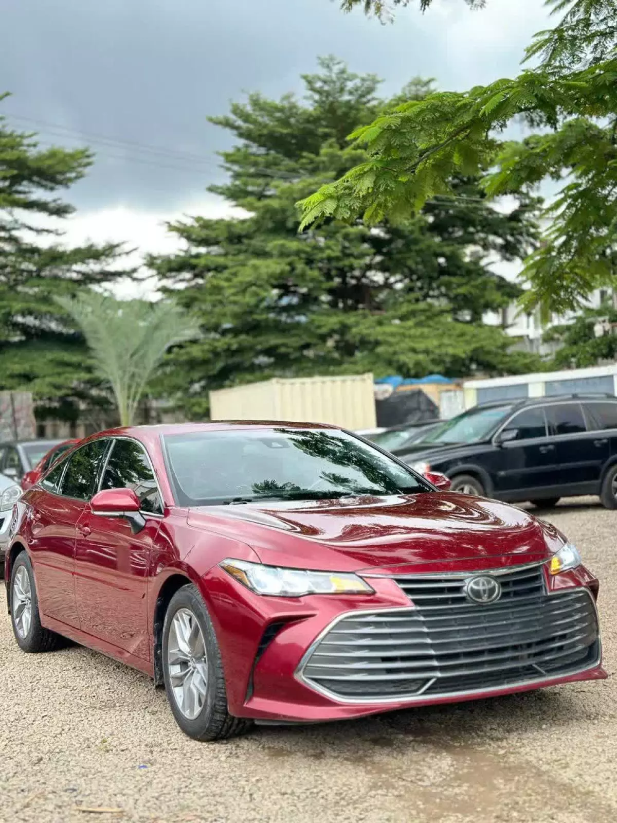 Toyota Avalon   - 2019