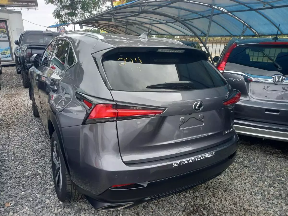 Lexus NX 300   - 2018