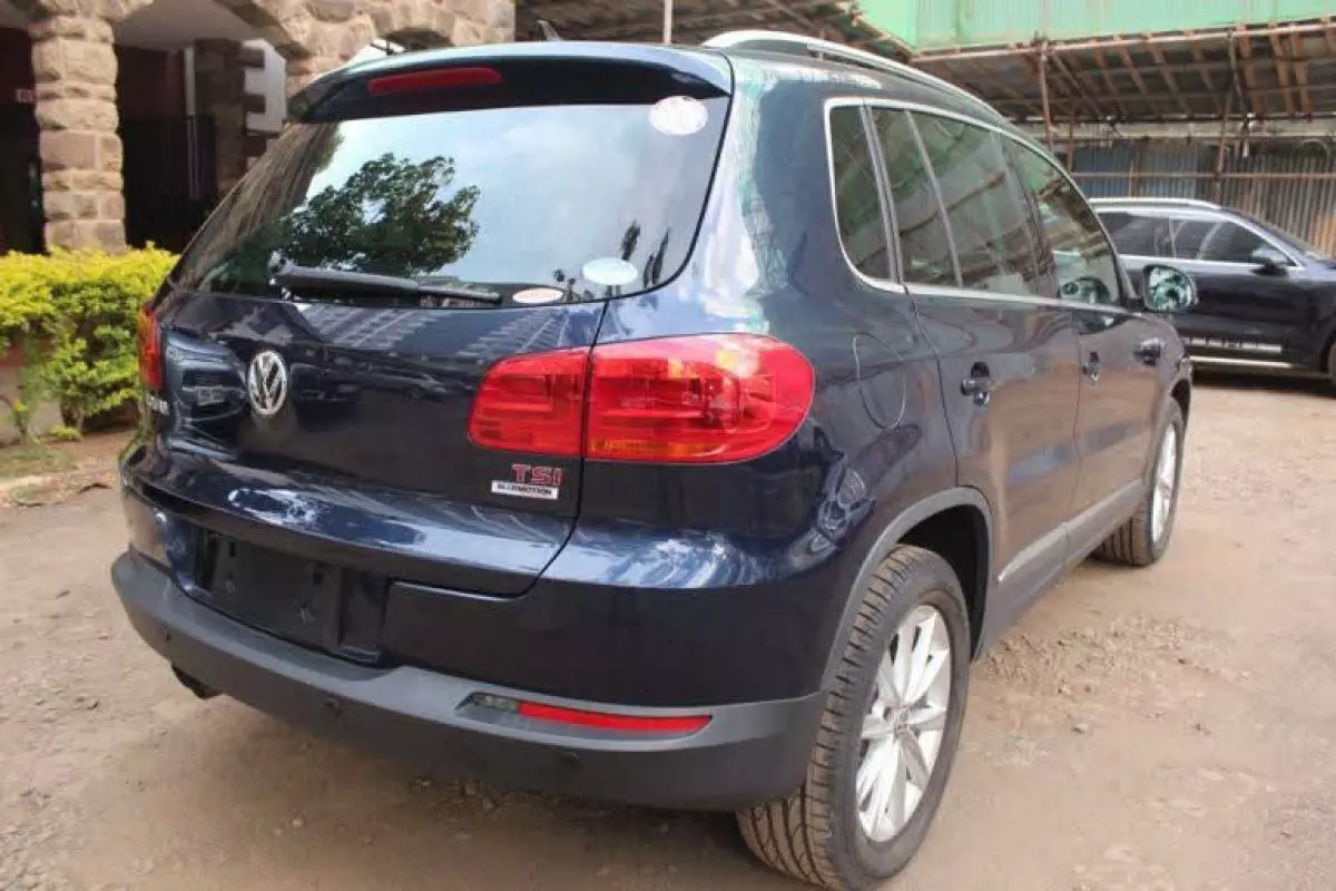 Volkswagen Tiguan - 2015