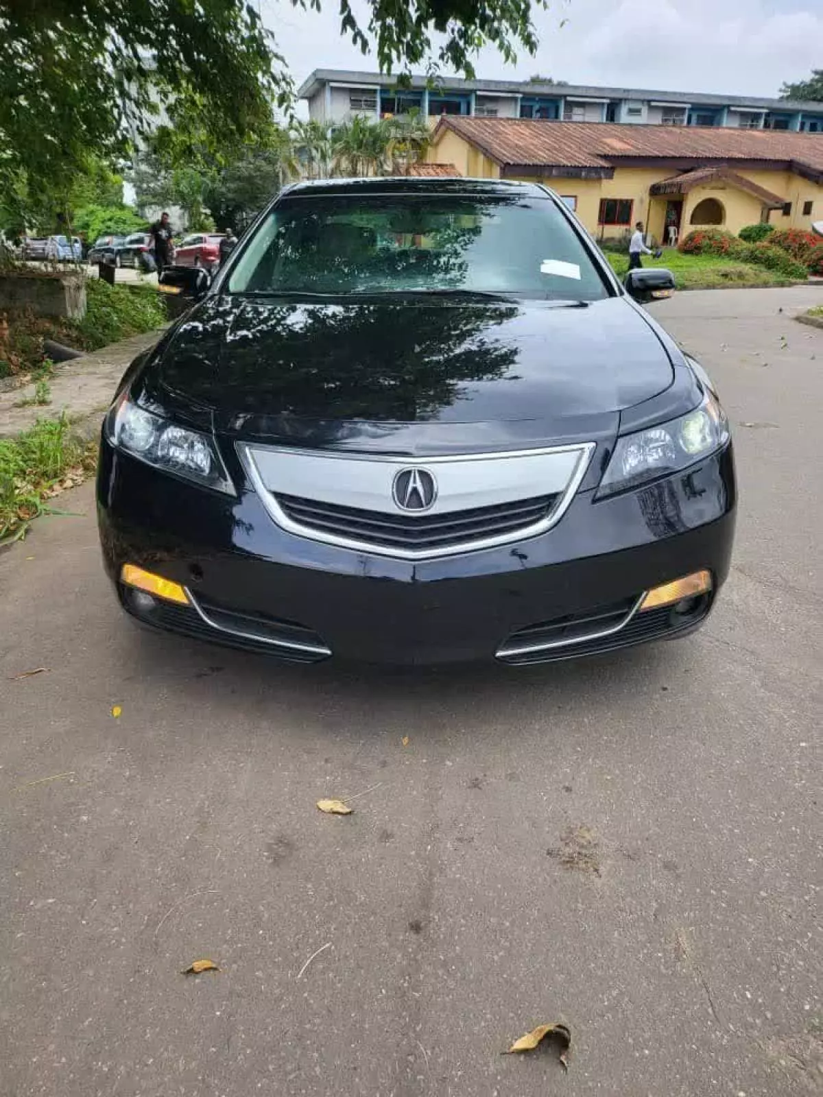 Acura TL   - 2013