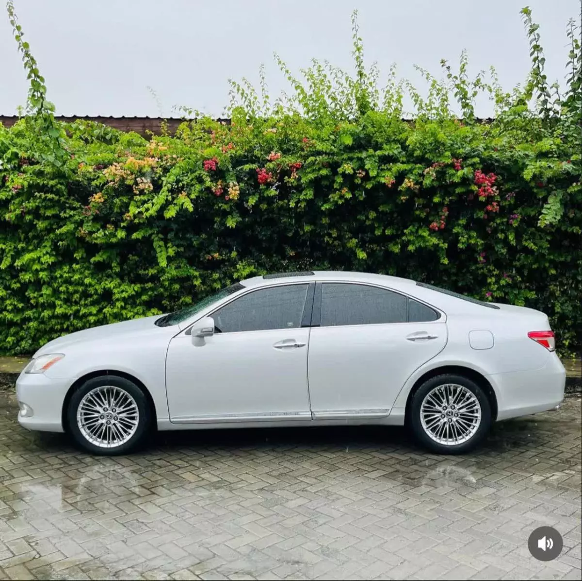 Lexus ES 350   - 2011