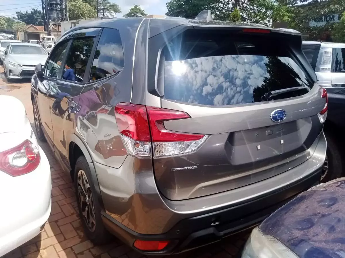 Subaru Forester   - 2019