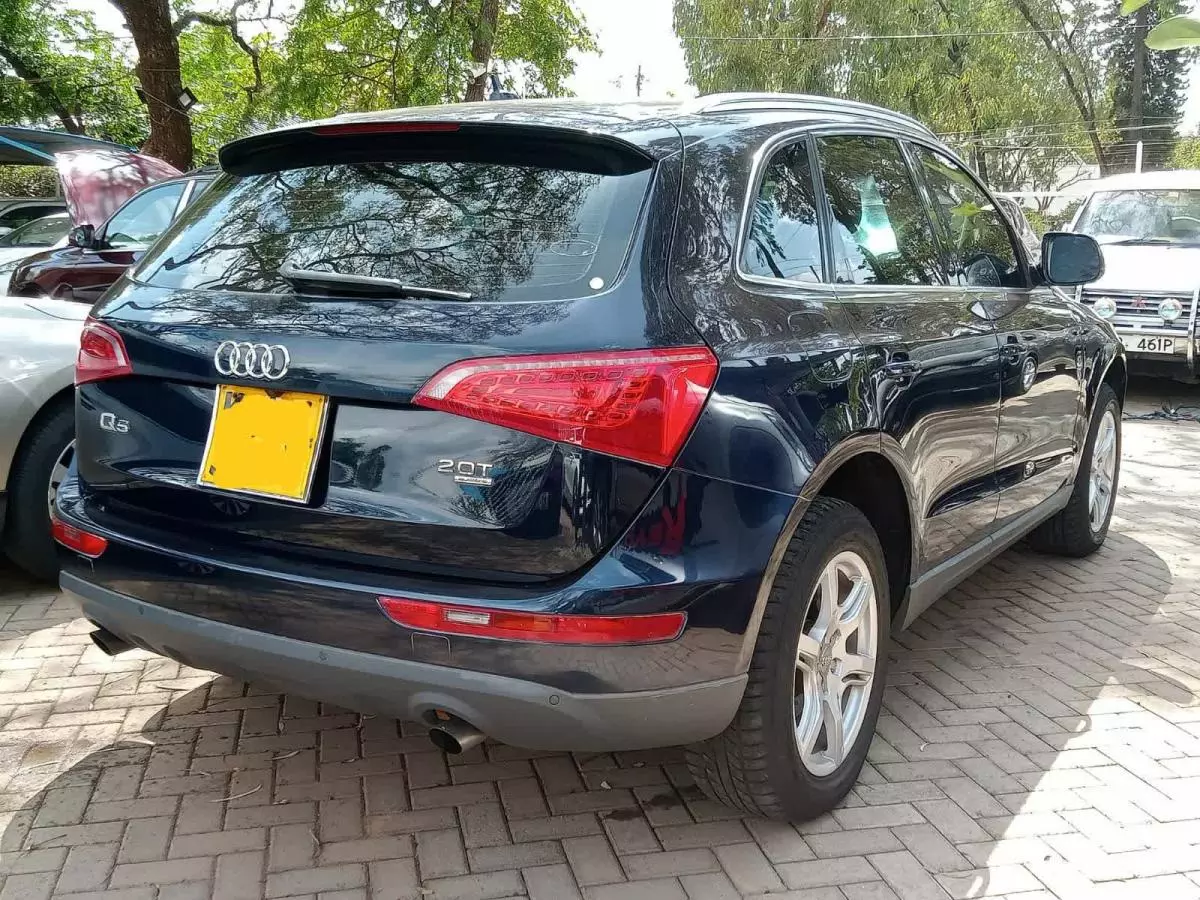 Audi Q5 - 2010