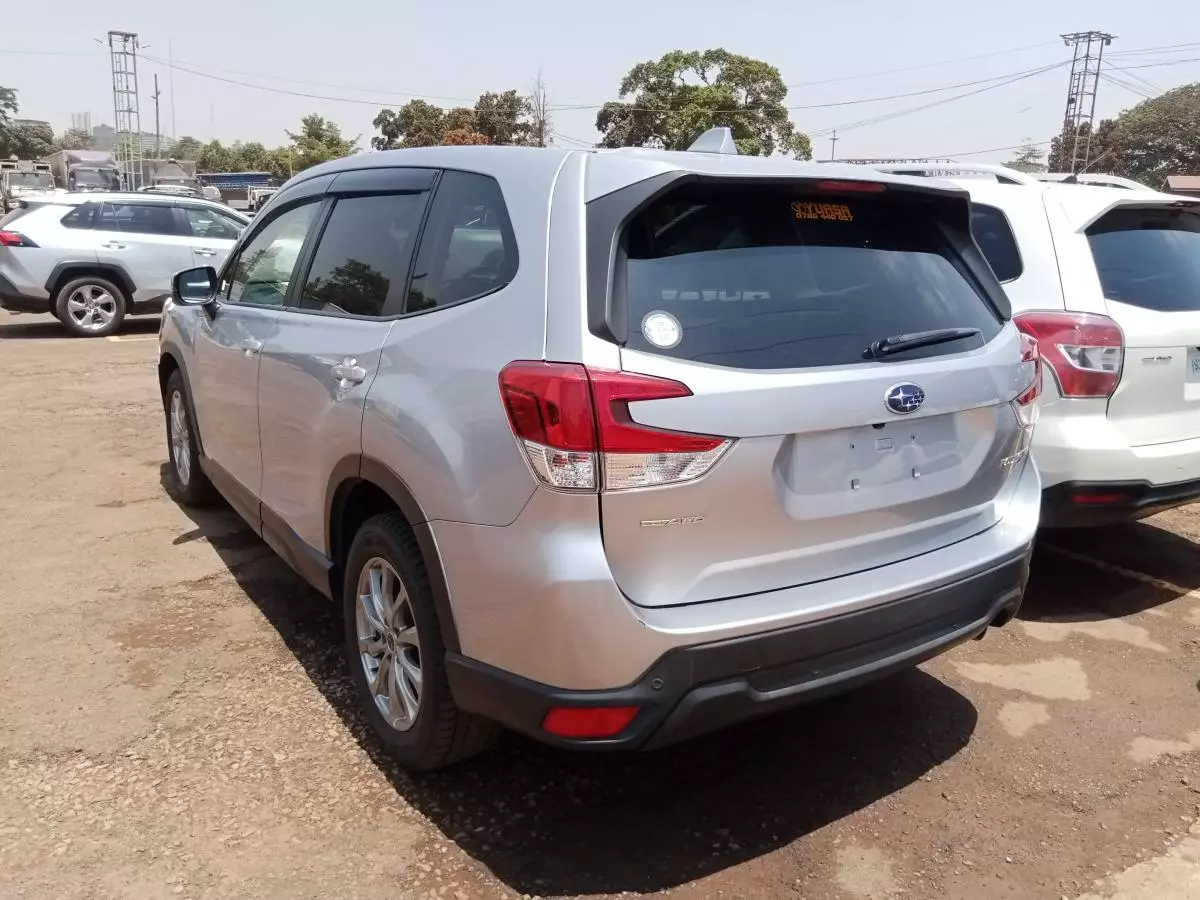 Subaru Forester   - 2019