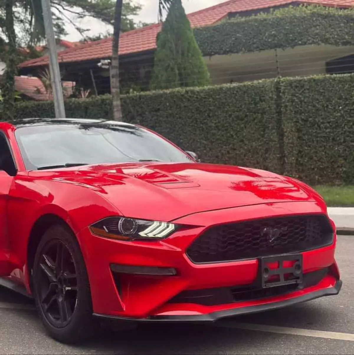 Ford Mustang   - 2019