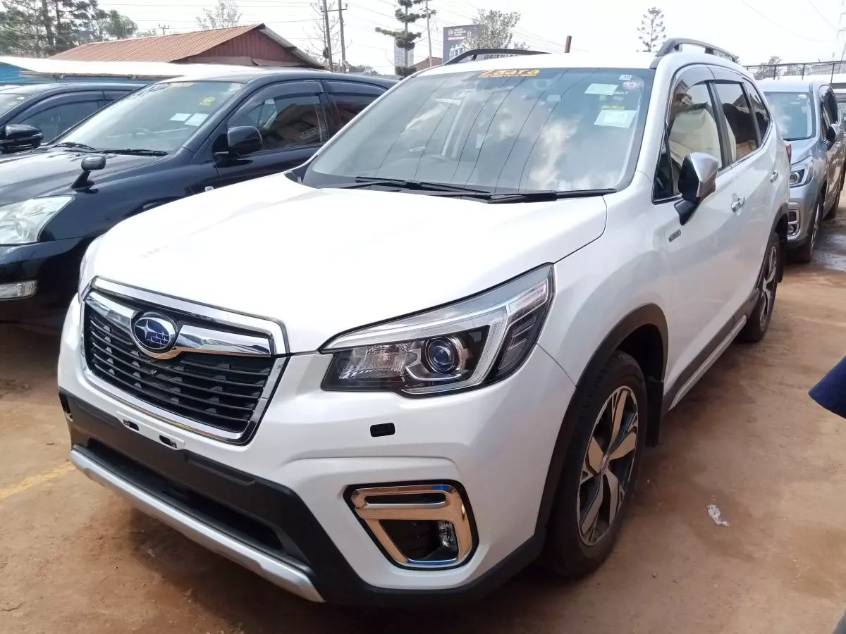 Subaru Forester   - 2019