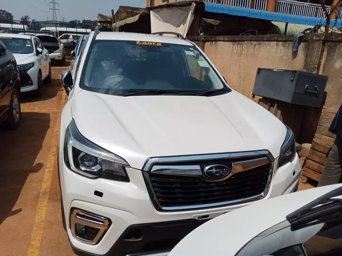 Subaru Forester   - 2019