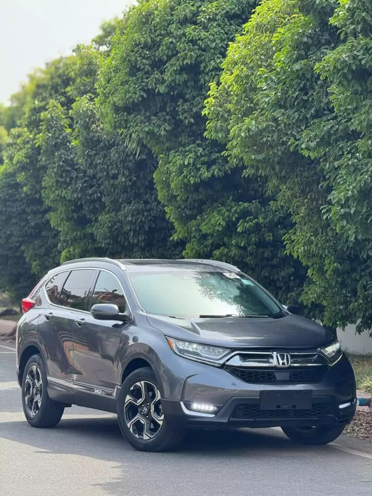 Honda CR-V   - 2019