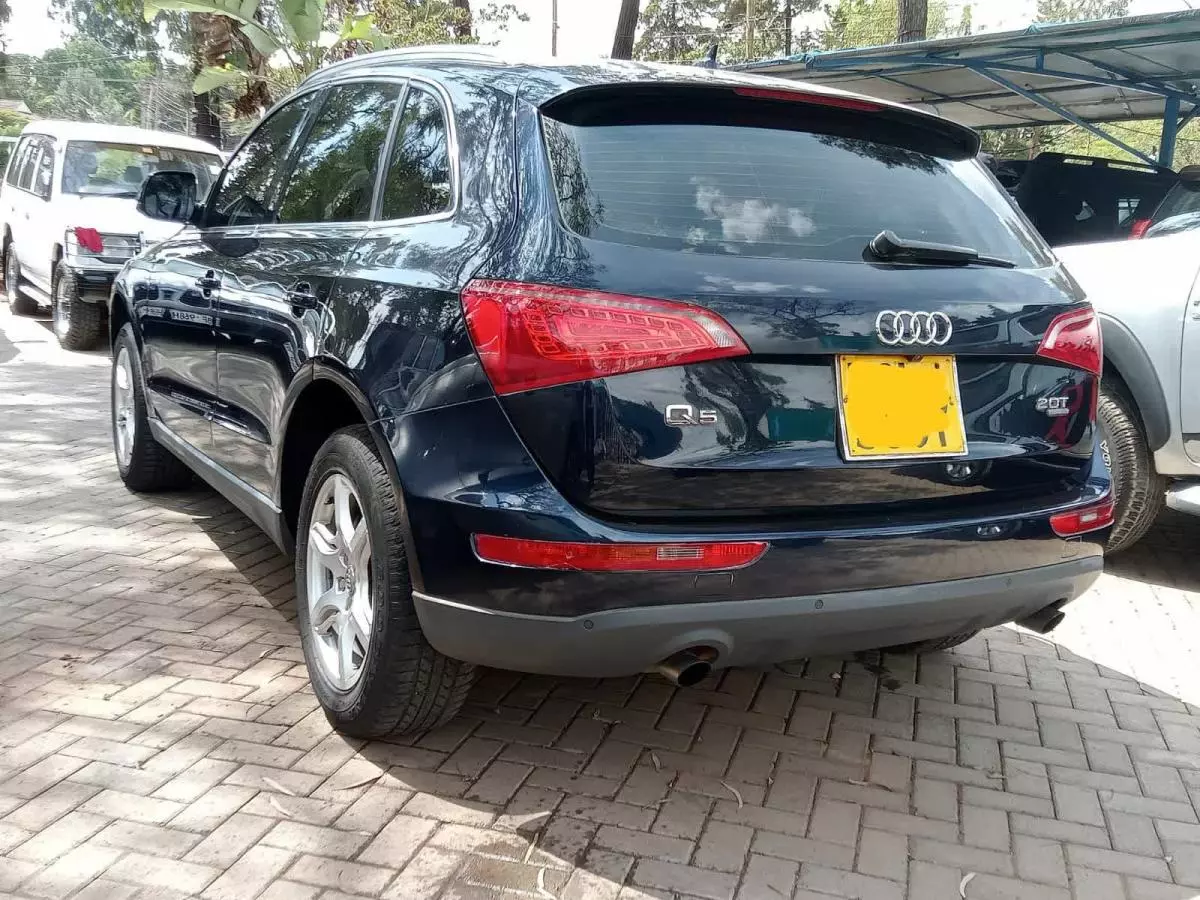 Audi Q5 - 2010