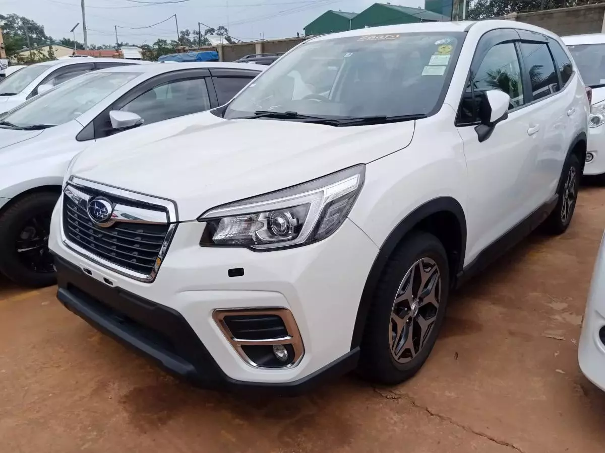 Subaru Forester   - 2019