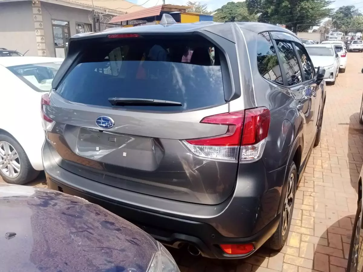 Subaru Forester   - 2019