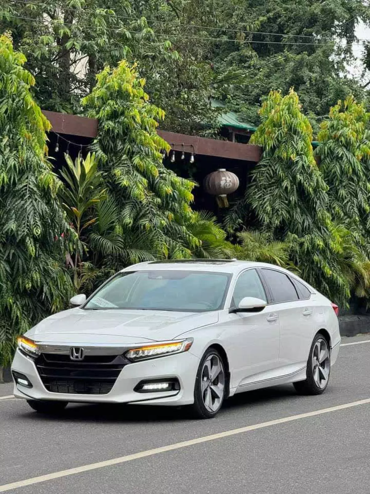 Honda Accord   - 2019