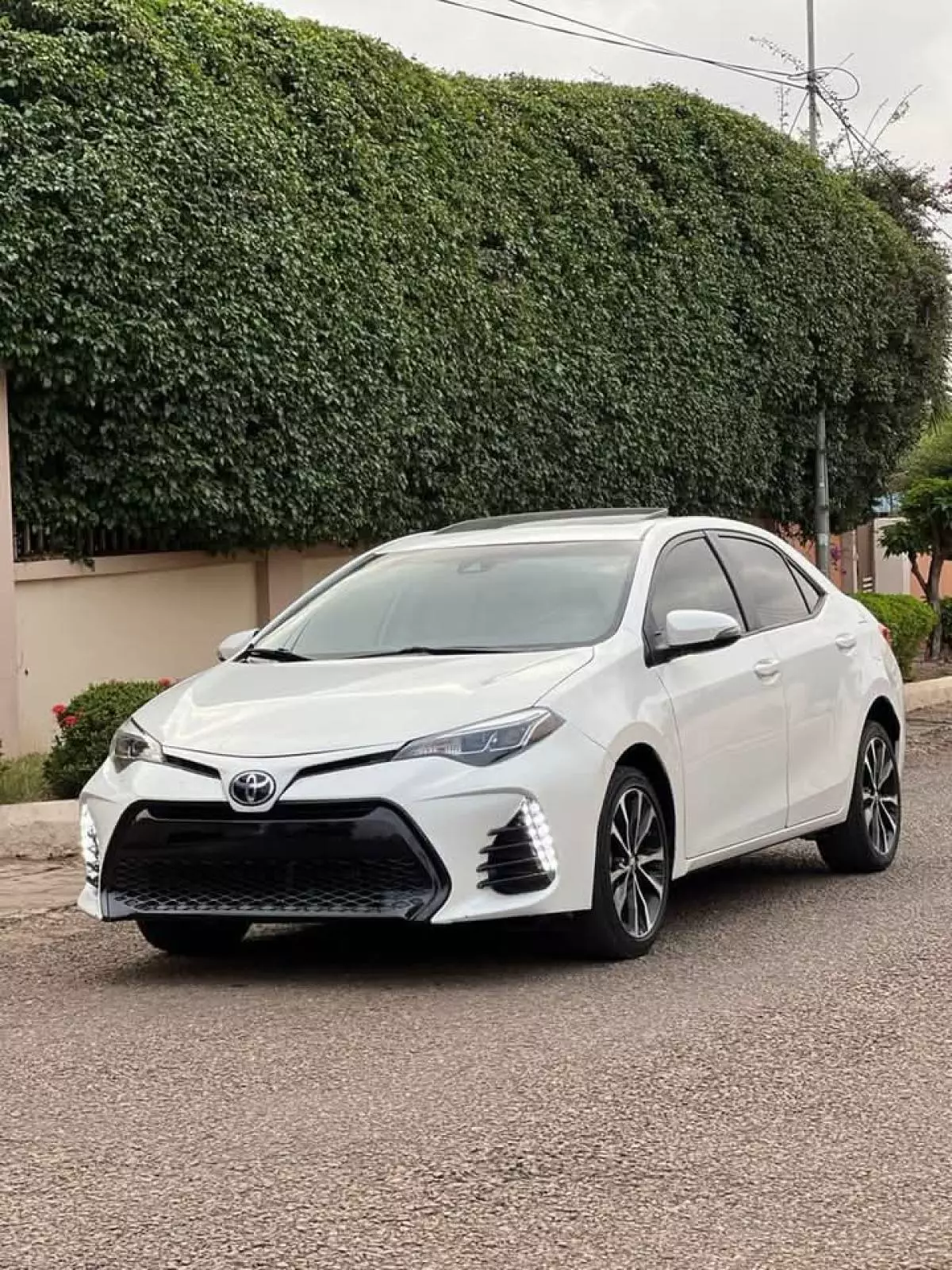 Toyota Corolla   - 2019