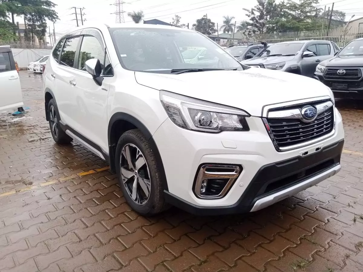 Subaru Forester   - 2019