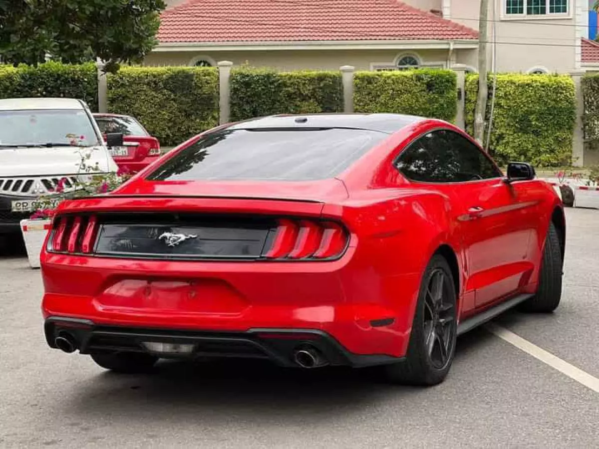 Ford Mustang   - 2019