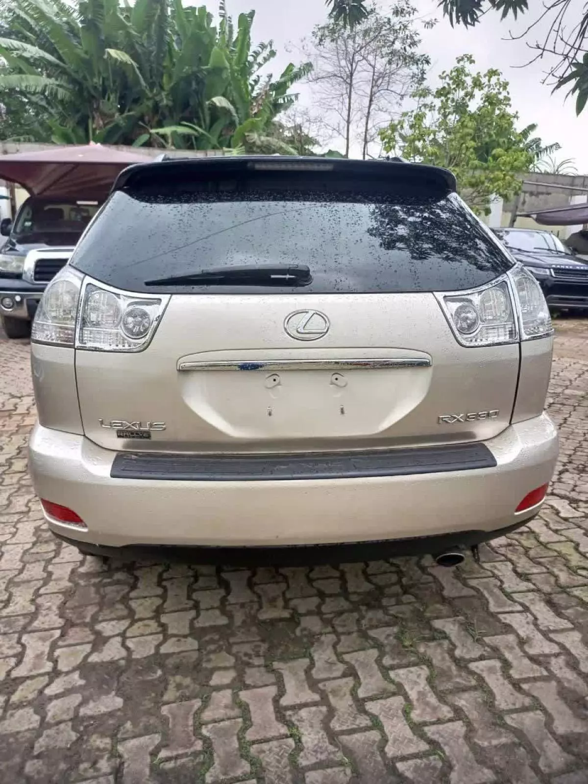 Lexus RX 330 - 2006