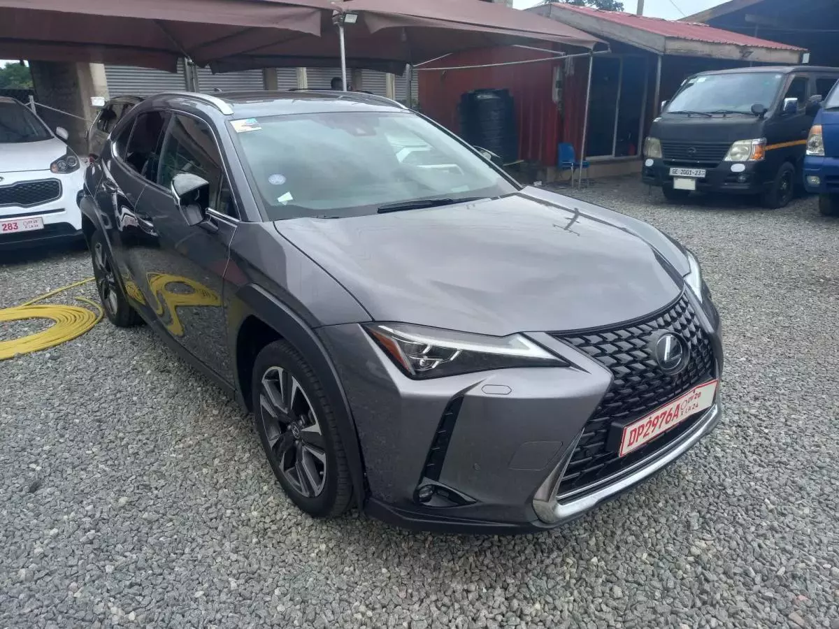 Lexus UX   - 2021