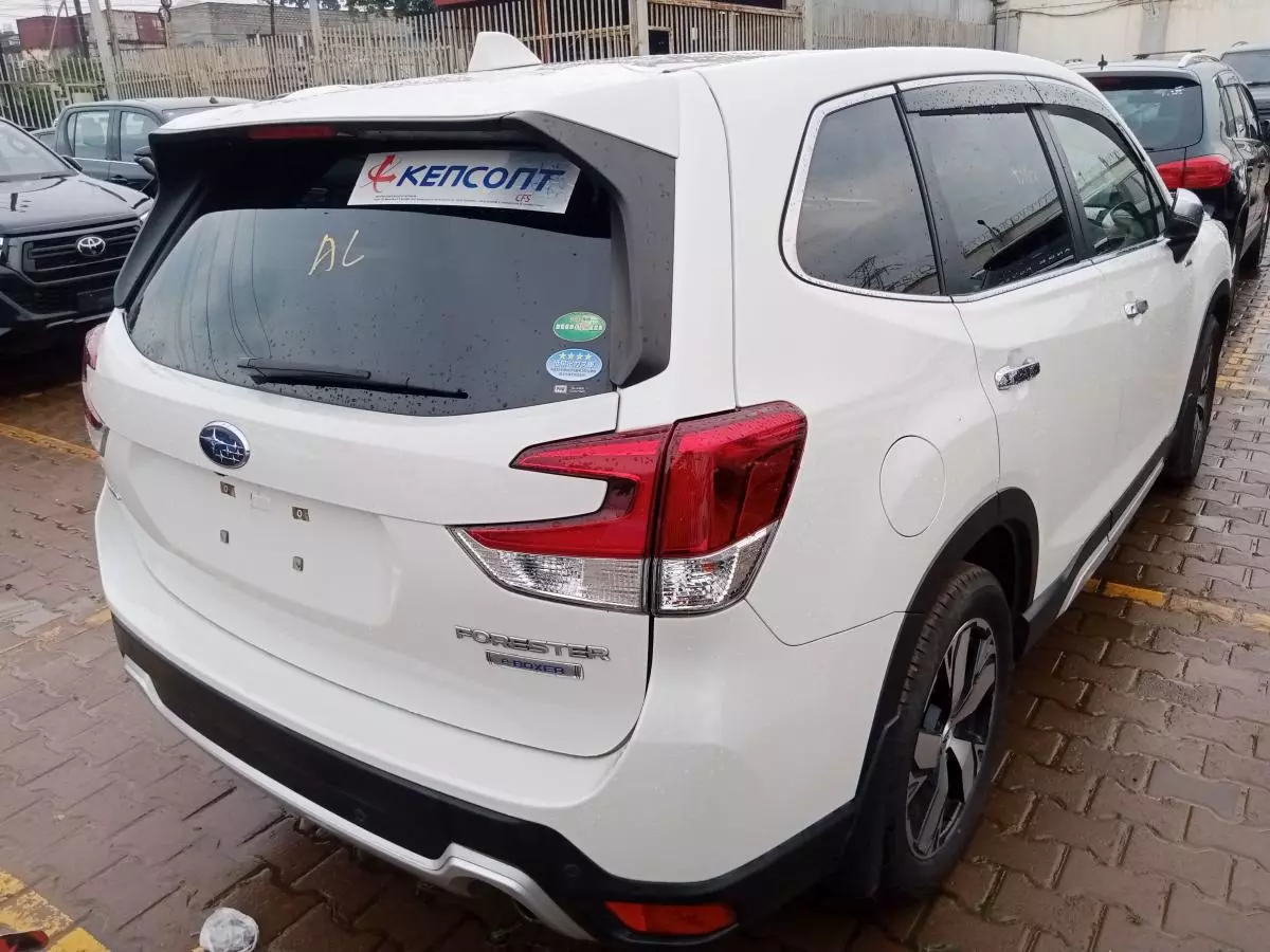 Subaru Forester   - 2019